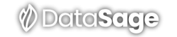 DataSage_logo_transp